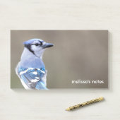 Post-it® Cute Bleu Jay Songbird sur Treestump (Sur un bureau)
