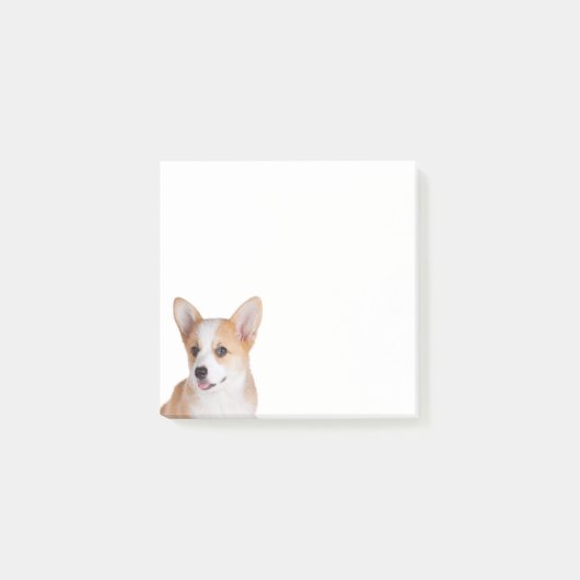 Post-it® Cute Corgi Chien Chien Chien Pembroke Welsh Corgis (Devant)