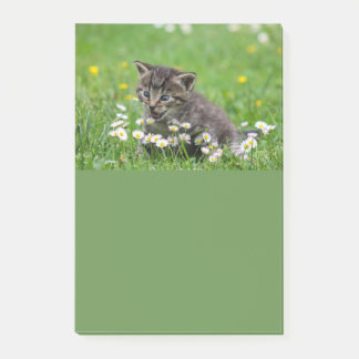 Post-it® Cute Kitten Art