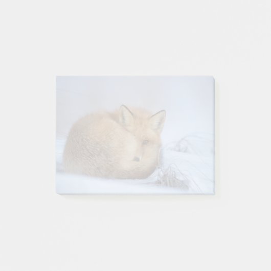 Post-it® Cute Little Fox Curling Up Winter Photo (Devant)