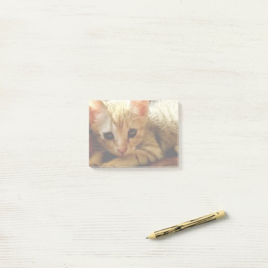 Post-it® Cute Little Kitten (Sur un bureau)