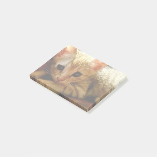 Post-it® Cute Little Kitten (Incliné)