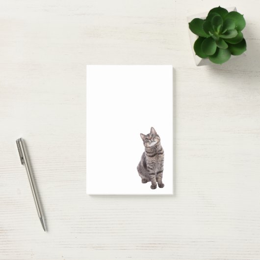 Post-it® Cute tabby Chat (Bureau)