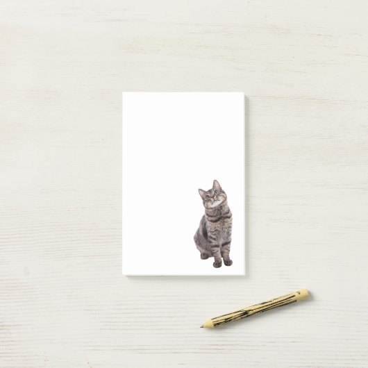 Post-it® Cute tabby Chat (Sur un bureau)