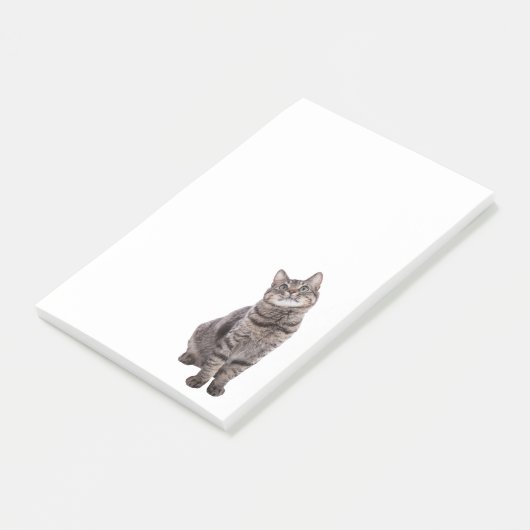 Post-it® Cute tabby Chat (Incliné)
