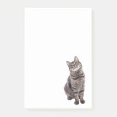 Post-it® Cute tabby Chat (Devant)