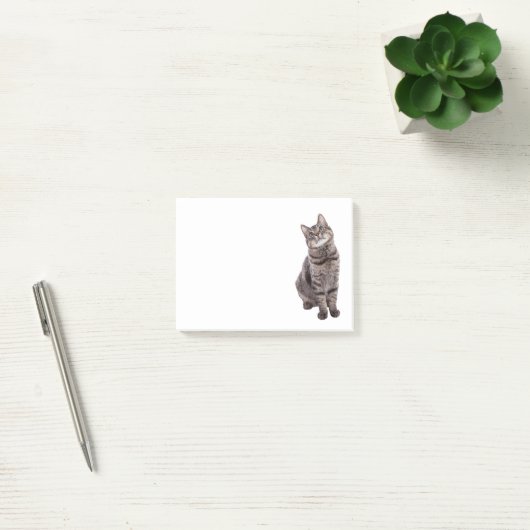 Post-it® Cute tabby Chat (Bureau)