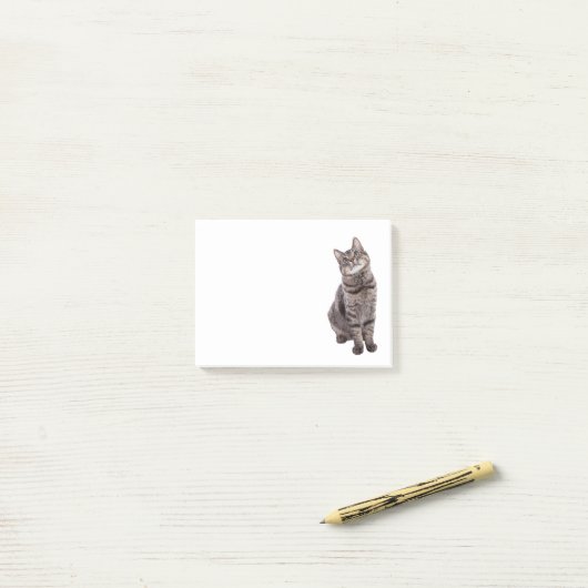 Post-it® Cute tabby Chat (Sur un bureau)
