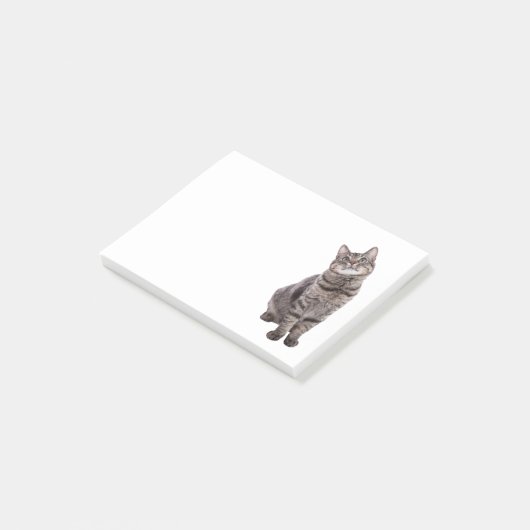 Post-it® Cute tabby Chat (Incliné)