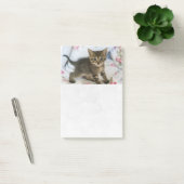 Post-it® Cute Tabby Kitten À L'Air Surpris (Bureau)