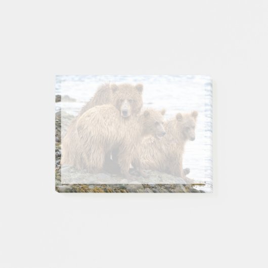 Post-it® Cutest Baby Animals | Bear & Cubs (Devant)