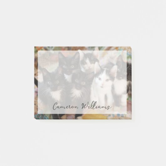 Post-it® Cutest Baby Animals | Black & White Kittens (Devant)