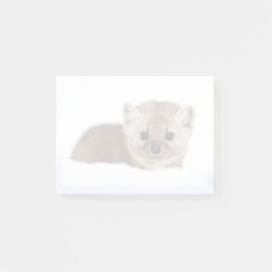 Post-it® Cutest Baby Animals | Pine Marten (Devant)