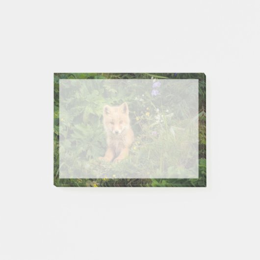Post-it® Cutest Baby Animals | Red Fox at Umnak Alaska (Devant)