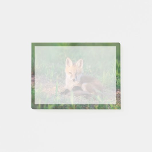 Post-it® Cutest Baby Animals | Red Fox Kit Relaxing (Devant)