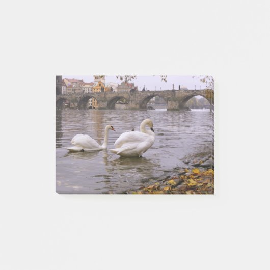 Post-it® Cygnes et pont Charles à Prague (Devant)