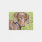 Post-it® Dachshund (Devant)