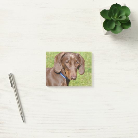 Post-it® Dachshund (Bureau)