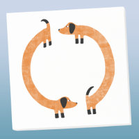 Dachshund amusant