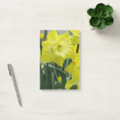 Post-it® daffodil-22.JPG (Bureau)
