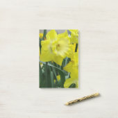 Post-it® daffodil-22.JPG (Sur un bureau)