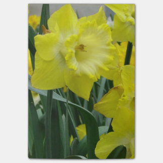 Post-it® daffodil-22.JPG