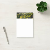 Post-it® Daffodiles jaunes et blancs Fleurs de printemps (Bureau)