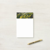 Post-it® Daffodiles jaunes et blancs Fleurs de printemps (Sur un bureau)