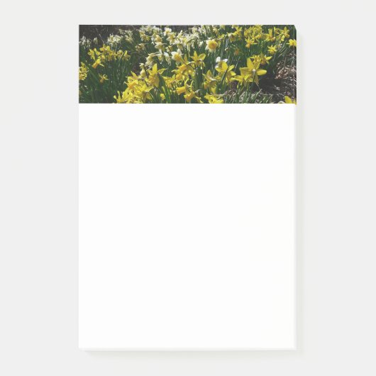 Post-it® Daffodiles jaunes et blancs Fleurs de printemps (Devant)