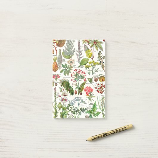 Post-it® Dangereus botanique d'usines (Sur un bureau)