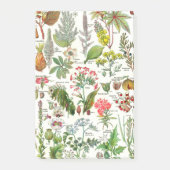 Post-it® Dangereus botanique d'usines (Devant)