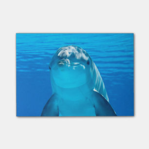 Post-it® Dauphin