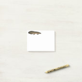 Post-it® Dauphin australien (Sur un bureau)