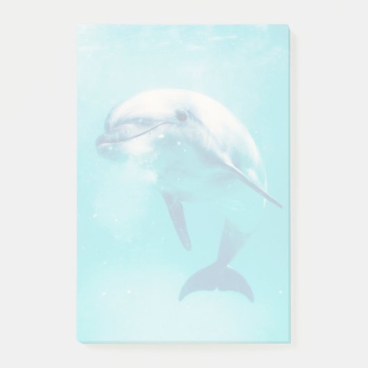 Post-it® Dauphin de Bottlenosed sous-marin (Devant)