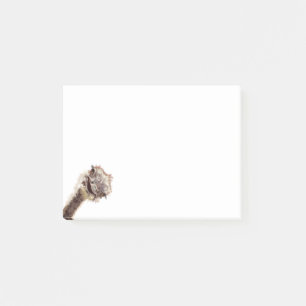 Post-it® Des notes amusantes avec de l'autruche jouée