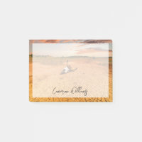 Deserts | Desert with Cow Skull