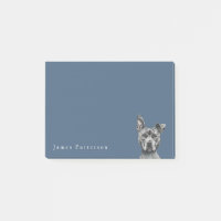 Dessin Stalky gris de chien de pitbull