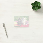 Post-it® Deux Chatons Assis Sur Une Couverture Rouge (Bureau)