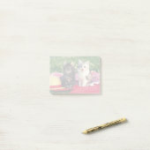 Post-it® Deux Chatons Assis Sur Une Couverture Rouge (Sur un bureau)