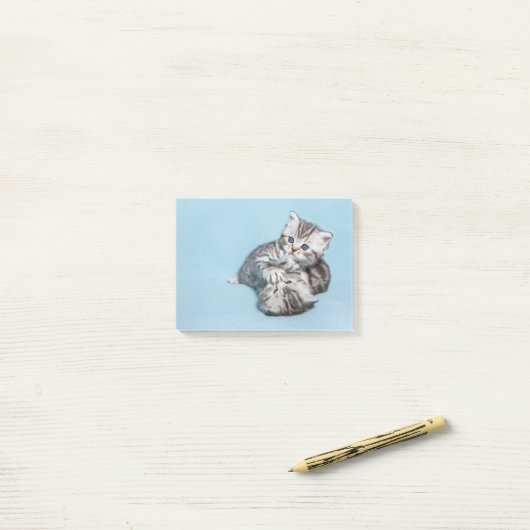 Post-it® Deux chatons en noir argenté jouant ensemble.JP (Sur un bureau)