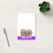 Post-it® Deux Chiens De Retriever Dorés Souriants Bonjour (Bureau)