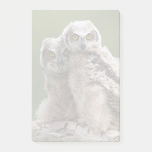Post-it® Deux grands hiboux à cornes de bébé