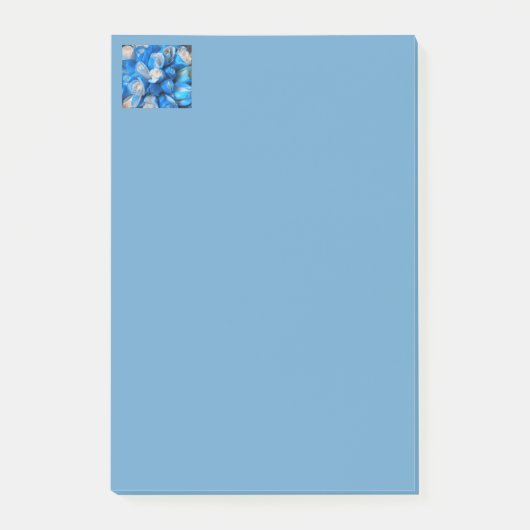 Post-it® Diemudis (Devant)