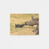 Post-it® Diversité (Devant)