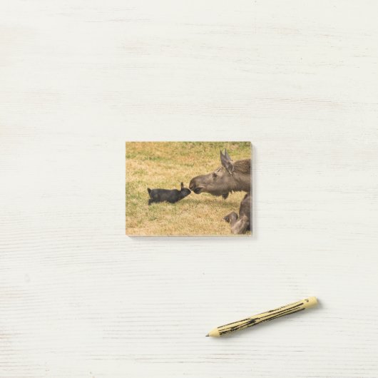 Post-it® Diversité (Sur un bureau)