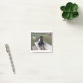 Post-it® doberman pinting (Bureau)