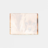 Post-it® Douce Ruby Cavalier King Charles Spaniel (Devant)
