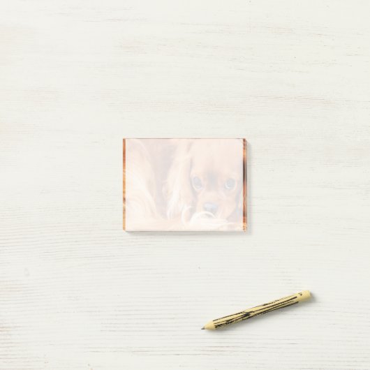 Post-it® Douce Ruby Cavalier King Charles Spaniel (Sur un bureau)