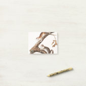 Post-it® Downy Brown Squirrel House (Sur un bureau)