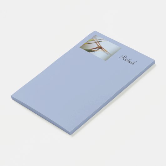 Post-it® Dragonfly Blue Personnalisé Post it Notes 4x6 (Incliné)